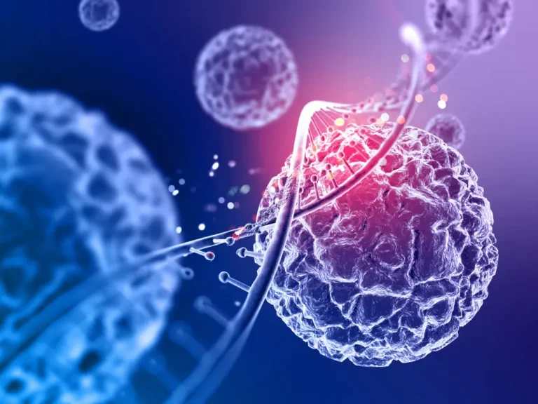 Stem Cell